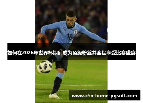 如何在2026年世界杯期间成为顶级粉丝并全程享受比赛盛宴